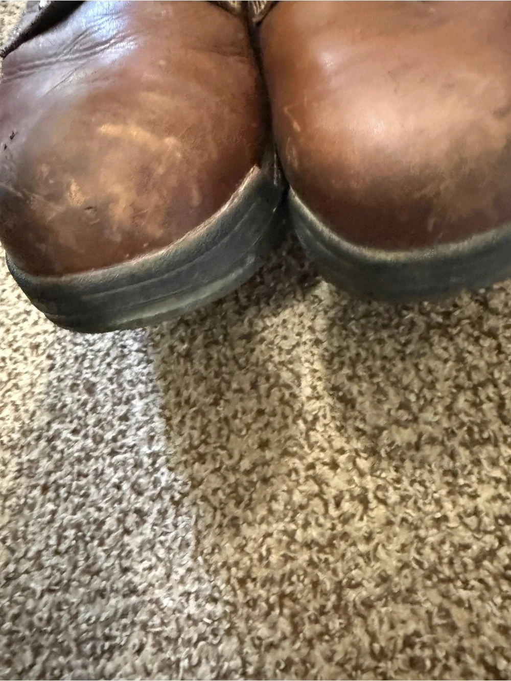 Timberland timeless classic oxfords